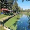 ribiči, lovci, podgrad, srečanje, tekmovanje