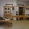 tišina-grobov, razstava, tišina