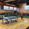 pokal slovenije, namizni tenis, gregor kocuvan