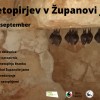 _zjami.jpg
