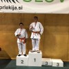 judo, prlekija-open, ljutomer