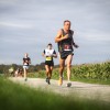 prekmurski-mali-maraton, moravske-toplice