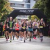 prekmurski-mali-maraton, moravske-toplice