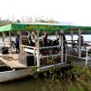 img_3798_000.jpg