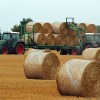harvest-g47a42a2fc_1920.jpg