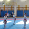 karate, liga, shotokan-karate-do, gornja-radgona, lenart
