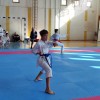karate, liga, shotokan-karate-do, gornja-radgona, lenart