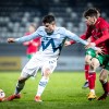 fazanerija, u21, slovenija, bolgarija