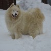 DSC_0080.JPG
