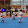 shotokan-karate-do, gornja-radgona, trbovlje