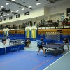 puconci, namizni-tenis