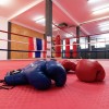 _zzscorpion_gym____01_.jpg