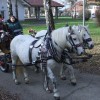 img_5920_000.jpg