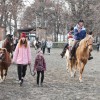 blagoslov-konj, konjeniški-center-dvorec-rakičan