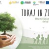 tukaj-in-zdaj-550.jpg