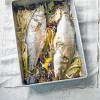 kuhinja LI1238875@fish_25536.jpg