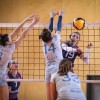odbojka, žok-ljutomer, calcit-volley