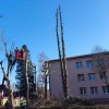 obrezovanje-dreves, občina-ljutomer
