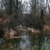 poplave, obilno-deževje, poplavljena-polja, sodišinci, poplavljeni-sodišinci