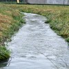 poplave, obilno-deževje, poplavljena-polja, sodišinci, poplavljeni-sodišinci