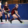dvoranski-hokej, državno-prvenstvo, zelena-dvorana-puconci, finalni-turnir