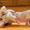 lendava, judo, 47--pokal-lendave