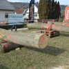 prosečka-vas, tekmovanje-v-hitrostnem-žaganju-z-motorno-žago, motorna-žaga