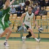 andrej_stavrov_krka_zlatorog.jpg