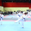 _karate__3_.jpg