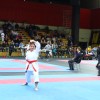 _karate__33_.jpg