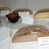 kruh_006.jpg