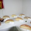kruh_023.jpg