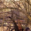 bobri_006.jpg