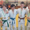 judo, turnir, gleisdorf