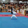 karate, slovenske-konjice, gornja-radgona, pokal-konjiškega-konja