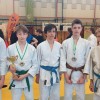 judo, turnir, gleisdorf
