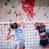 žok-ljutomer, calcit-volley, odbojka
