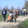 vinogradniško-in-sajdarsko-društvo-filovci, pohod-ob-materinskem-dnevu