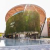 dubai-expo