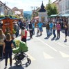 mozirje-ljudje-festival-zelisc