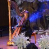 zupanov_koncert8