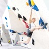 Janja Garnbret_Innsbruck balvani (foto Luka Fonda)[205438]