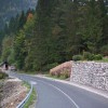 cesta_luce_sestre_logar