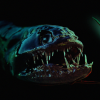dragonfish