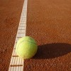 tenis