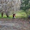 cistilna-akcija-velenje