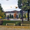 velenje-titov-trg