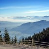 golte-razgled