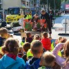 dan brez avtomobila_9731