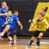 rk_gorenje_poljaki